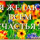 ���� �����, �����-��������� - ��������� 20 ����� 2017 � ������ ������ ��������