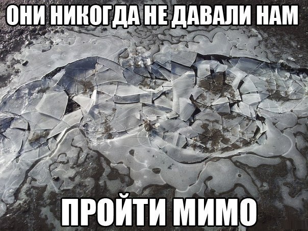   - 13  2017  18:36