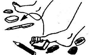 ����������, ������������� ����� � ������������� � ���� �������� �������. 1. ���������� 