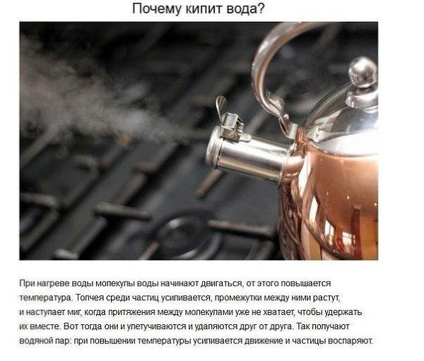 Ответы на детские вопросы, от которых «взрывается» мозг - 10