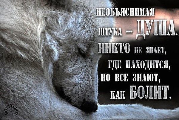 .Life.Is.Life. - 2  2016  14:50