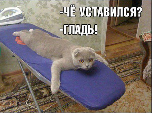 ������ ��������� :D - 5 ������� 2017 � 18:03