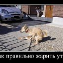 ���� �������, ������, 50 ��� - ��������� 27 �������� 2016 � ������ ������ ��������