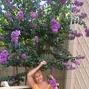 ���� ������, ������, 70 ��� - ��������� 21 ������� 2016 � ������ ���� ����������