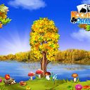  Dolus, , 60  -  14  2016