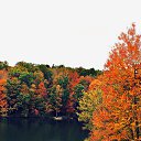 ���� �������, ������ - ��������� 20 �������� 2016 � ������ ���� ����������