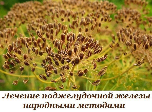 Лечение поджелудочной железы народными методами. То, чего не расскажет ни один врач! Поджелудочная ...