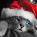 ���� Mari, ���� - ��������� 17 ������ 2016 � ������ ���� ����������