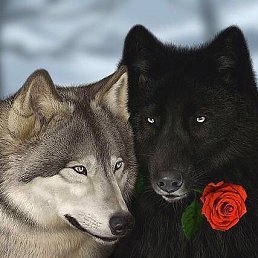 ����, �����-��������, 53 ����