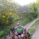  , -, 54  -  24  2017    