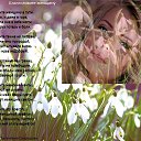 ���� ���������, ������ - ��������� 28 ������ 2016 � ������ �������� ��������