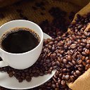 ���� V, �����������, 47 ��� - ��������� 28 �������� 2016 � ������ ������ ��������