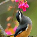      ,  , 50  -  25  2016   