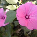 ���� ������, ���� - ��������� 1 ������� 2016 � ������ ���� ����������