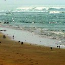 ��������� �����! �� ������� ����'16�