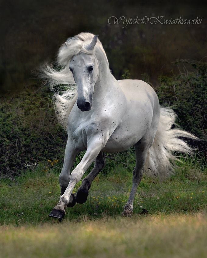  -   ! - 27  2016  06:31