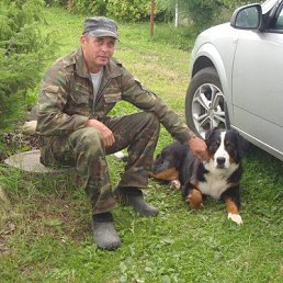 ���� �����, �������, 62 ���� - ��������� 4 ������� 2016