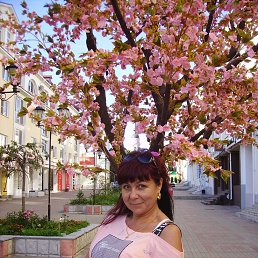 , 56, 