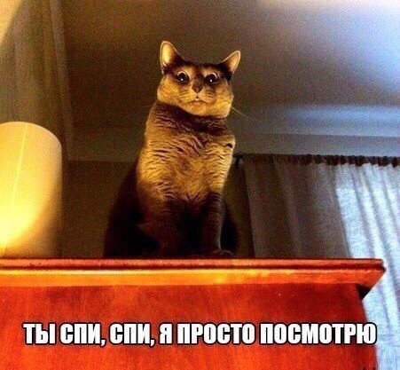 ***Victoria Viktorovna*** - 13  2016  02:23