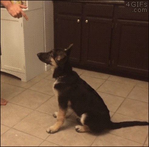 �����, � �������� ��� ������
