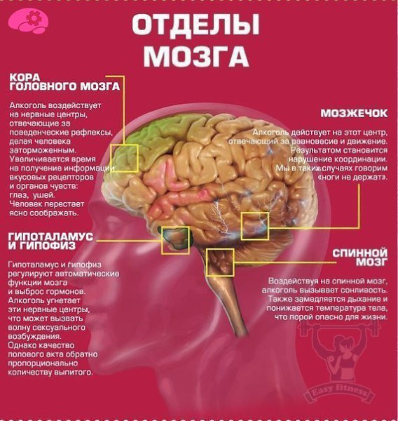 Про вред алкоголя. Пьяный, в гавно, бухой — как это ни назови, а все пьющие люди проходят через один ... - 3