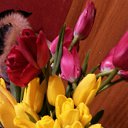 ���� �����, ������ - ��������� 22 ������� 2017 � ������ ���� ������� ����� .�