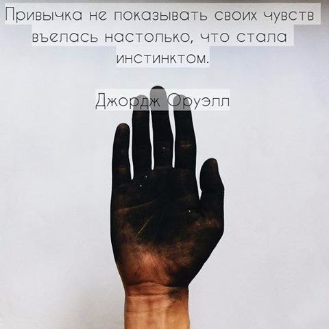 BEST | , ,  - 24  2017  16:13
