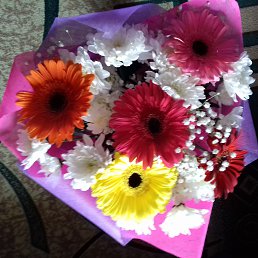 �����, ���������, 49 ���