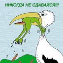 ���� �������, �����, 54 ���� - ��������� 23 ������ 2016 � ������ ������ ��������