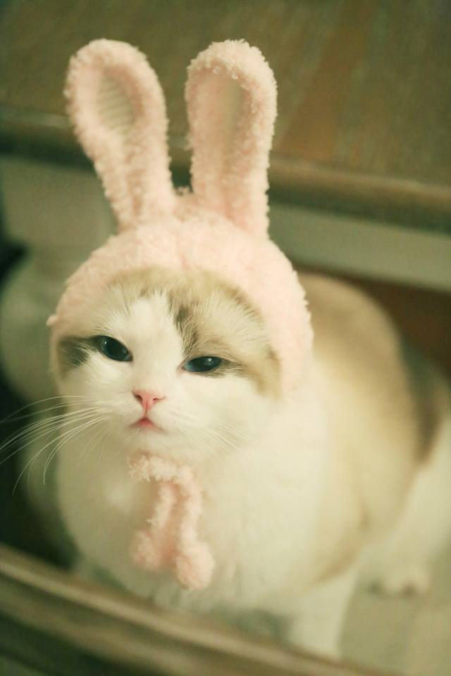    :3 - 3