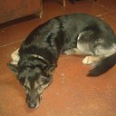  , , 67  -  23  2017    .