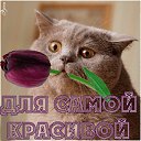 ���� Ruslan, ������, 53 ���� - ��������� 21 ������� 2016 � ������ ���� ����������
