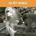 ���� ������, ����������, 47 ��� - ��������� 14 ����� 2017