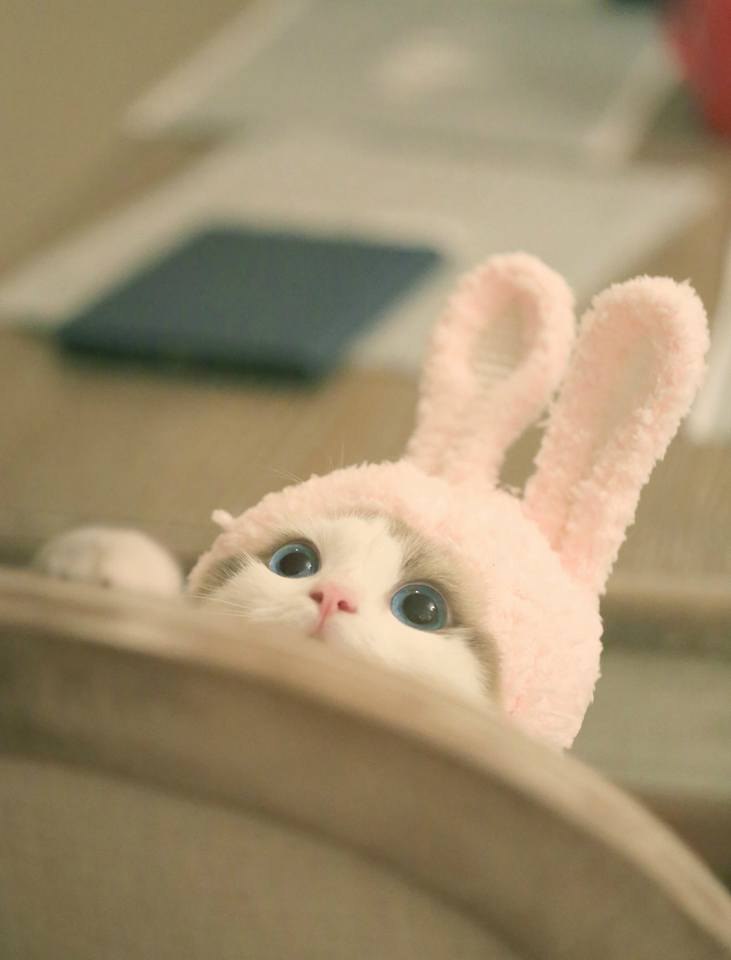    :3 - 4