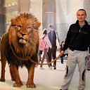 ���� ��������� ����������, ������, 46 ��� - ��������� 5 ����� 2017 � ������ ���� ����������