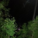 ���� ��� ���� � ���� �� ������� ���� ����������