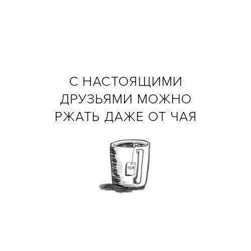   -  ,  -  - 8  2017  04:08