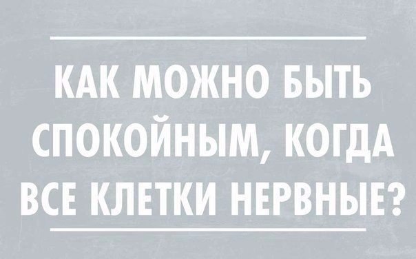    - 28  2016  23:21