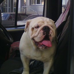 Stepa, �������, 47 ���