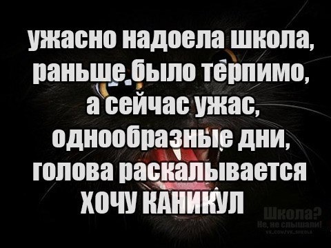 ? ,  ! - 11  2017  15:22