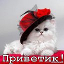 ���� �������, ������, 54 ���� - ��������� 26 ������ 2016 � ������ ���� ����������
