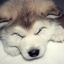 ���� ���������, ������ - ��������� 30 ������� 2016 � ������ ���� ����������