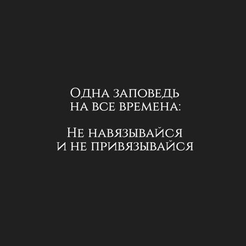 , , , ,  - 4  2017  09:58