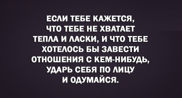 SportFeed - 22  2016  05:54