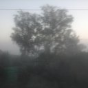  ,  -  31  2016    