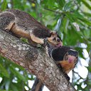 ���� ����, ������������, 59 ��� - ��������� 15 ����� 2017 � ������ ���� ����� 2017�