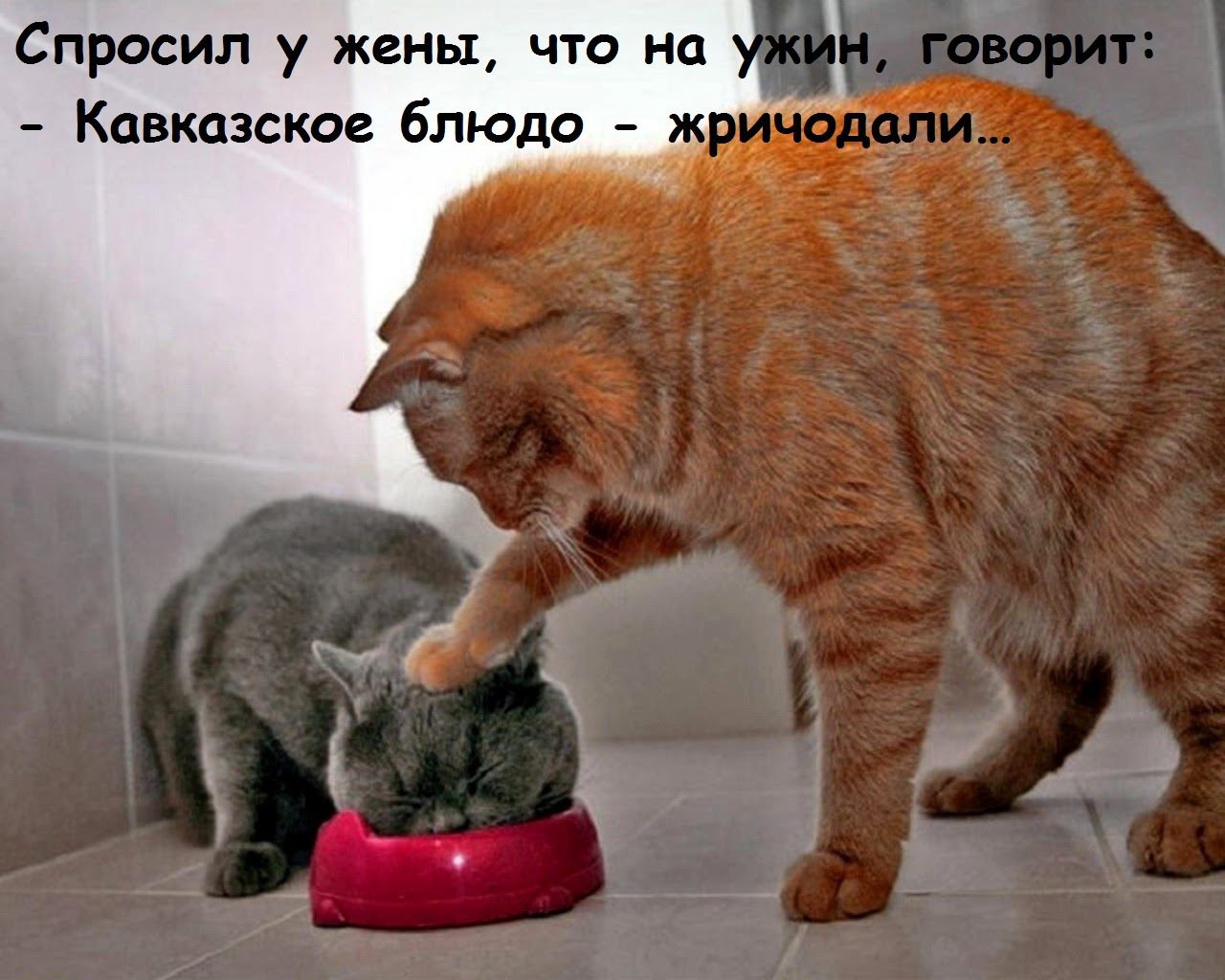   - 17  2017  18:37