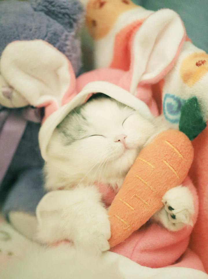    :3 - 6