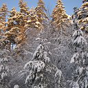 ���� �����, ��������� - ��������� 24 ������ 2017 � ������ ���� ����������