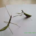 ���� Kazimieras, ����� - ��������� 21 �������� 2016 � ������ ���� ����������